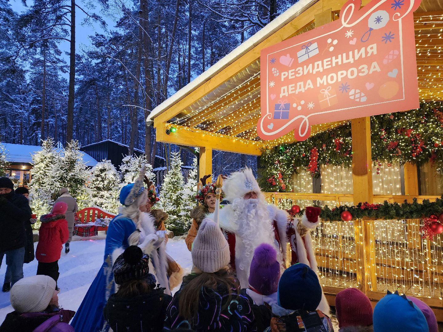 Одинцово, новый год, резиденция деда мороза, парк Раздолье, вертикалка, вертикальное видео,