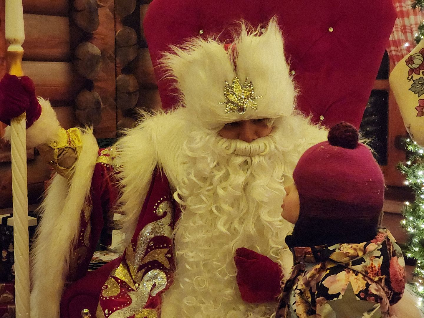 Одинцово, новый год, резиденция деда мороза, парк Раздолье, вертикалка, вертикальное видео,