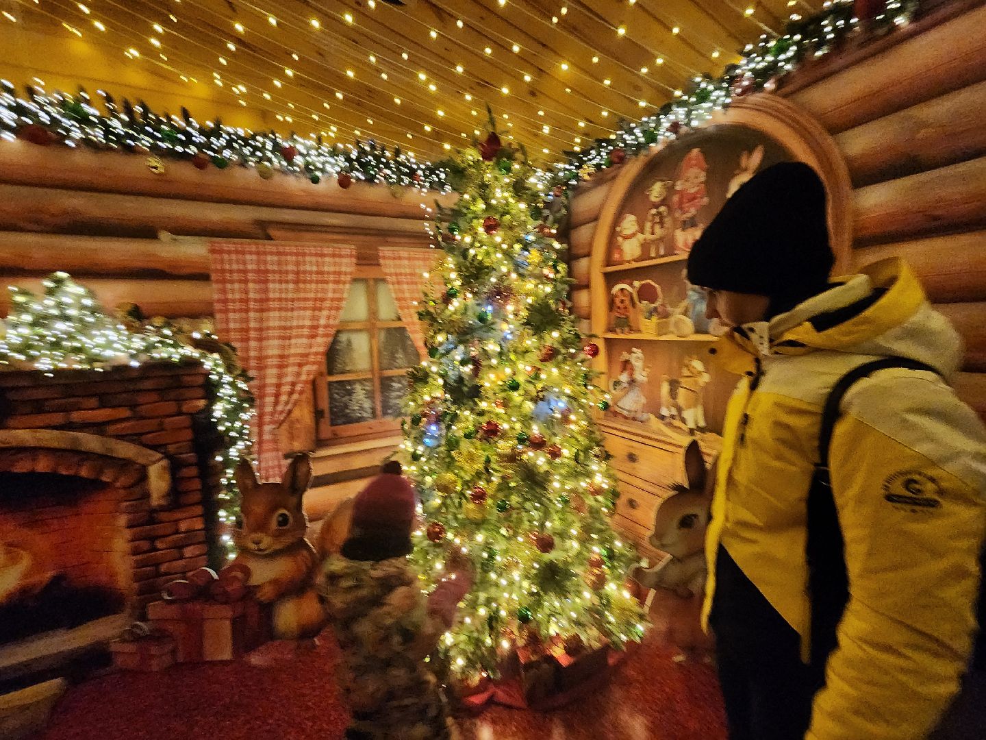 Одинцово, новый год, резиденция деда мороза, парк Раздолье, вертикалка, вертикальное видео,