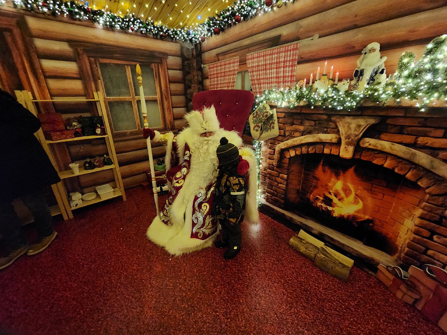 Одинцово, новый год, резиденция деда мороза, парк Раздолье, вертикалка, вертикальное видео,