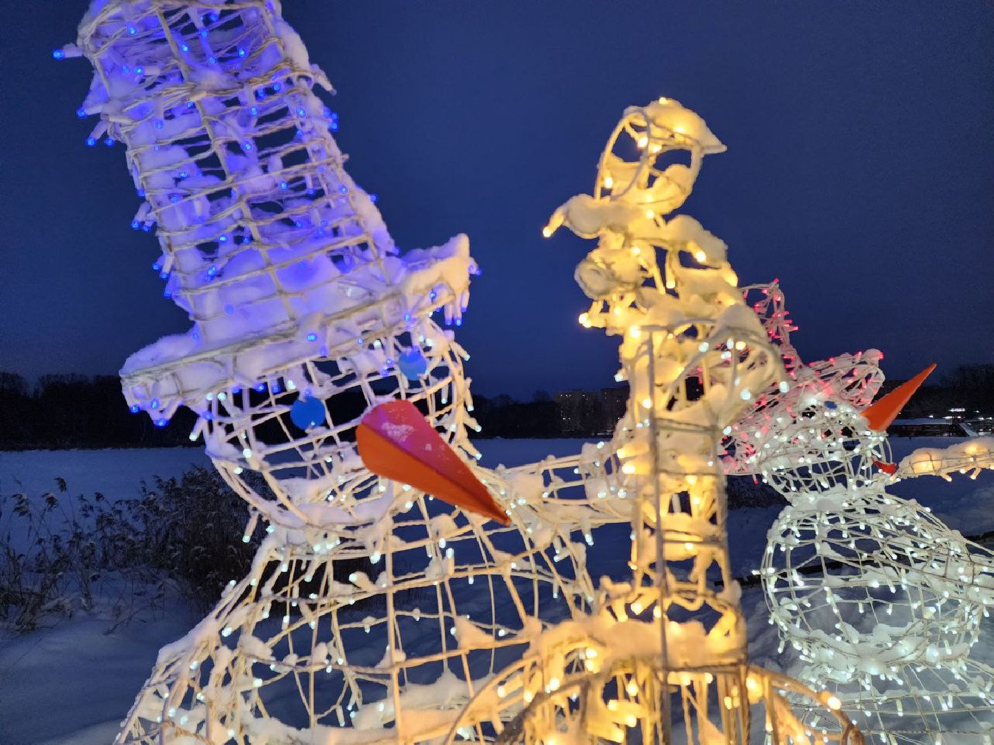 Солнечногорск, Городской парк, Жители, Озеро, Иллюминация, вертикалки