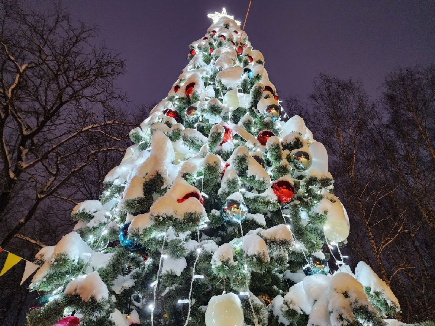 Солнечногорск, Городской парк, Жители, Озеро, Иллюминация, вертикалки