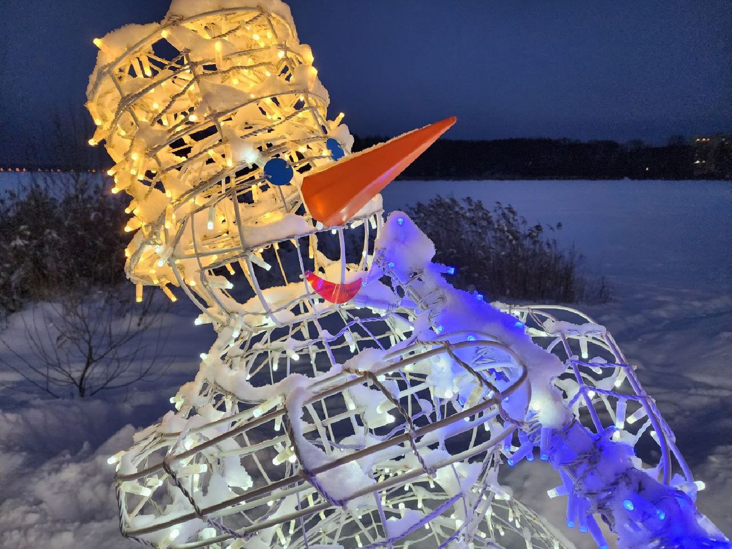 Солнечногорск, Городской парк, Жители, Озеро, Иллюминация, вертикалки