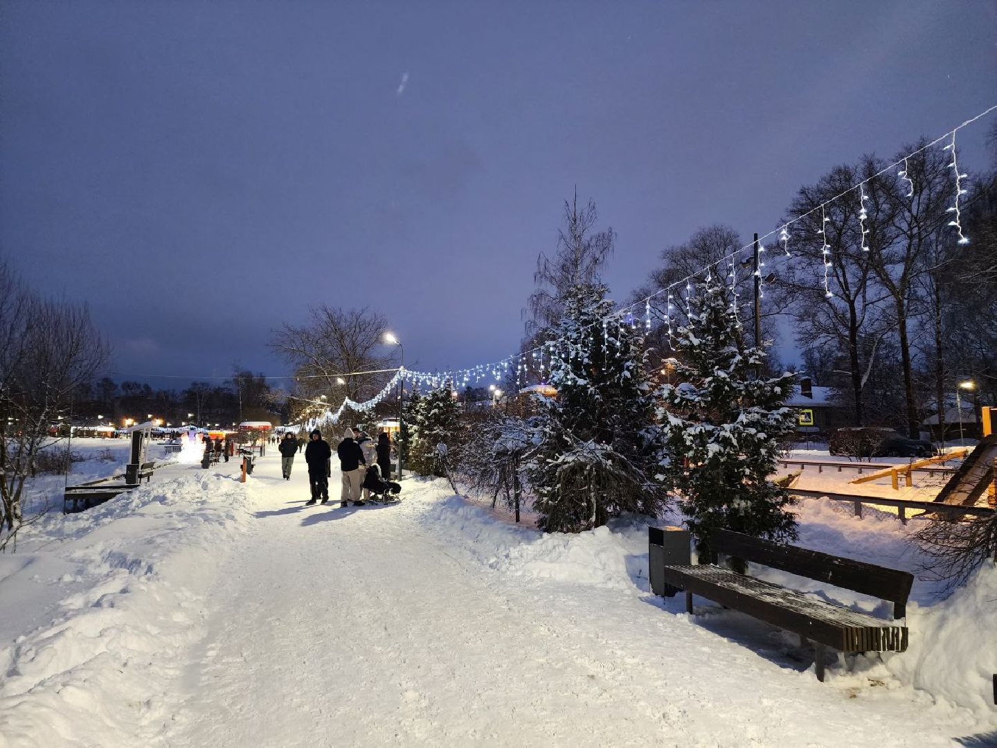 Солнечногорск, Городской парк, Жители, Озеро, Иллюминация, вертикалки