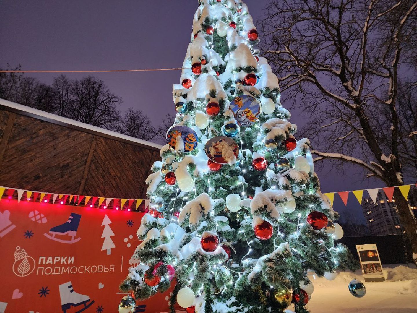 Солнечногорск, Городской парк, Жители, Озеро, Иллюминация, вертикалки