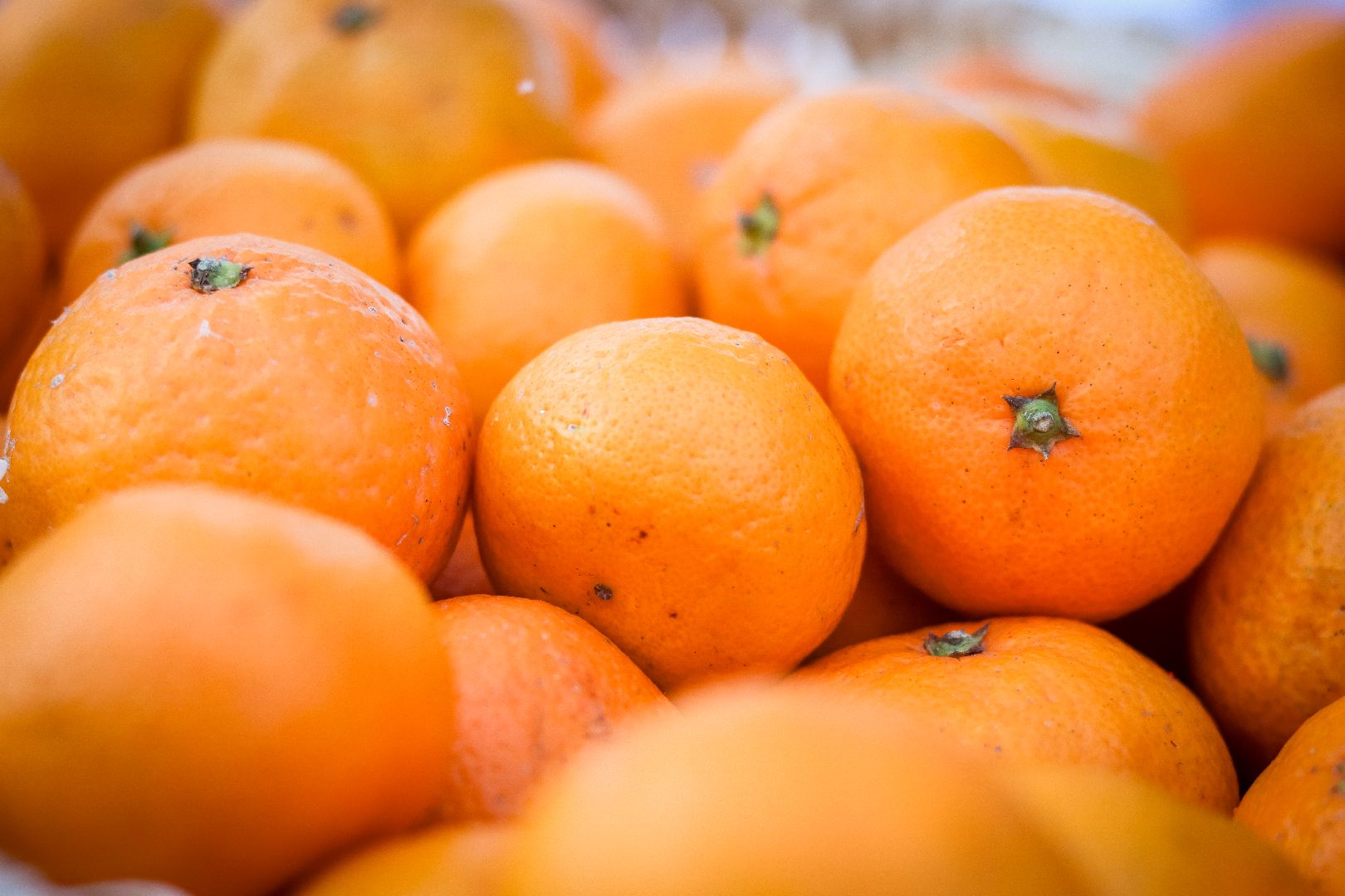 Клин, общество, культура, ВЕРТИКАЛКИ, зима в подмосковье, мастер-классы,