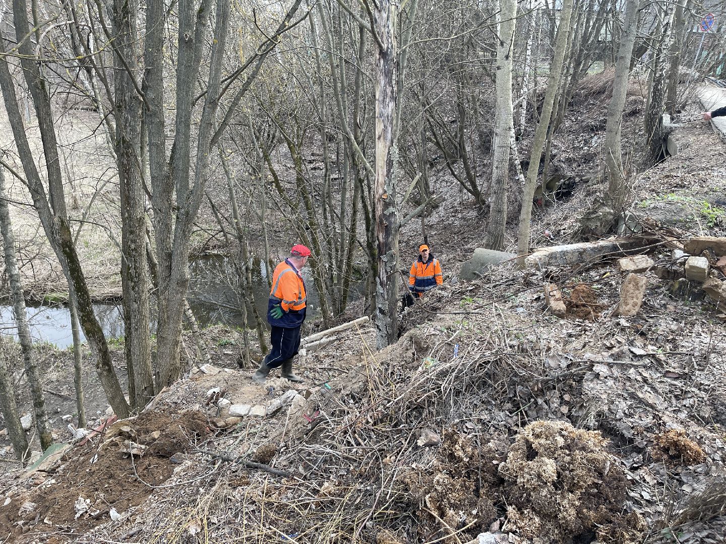 Ромашково, Одинцово, Добродел, река, Чаченка, очистка, экология, мусор,