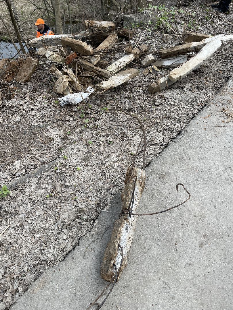 Ромашково, Одинцово, Добродел, река, Чаченка, очистка, экология, мусор,