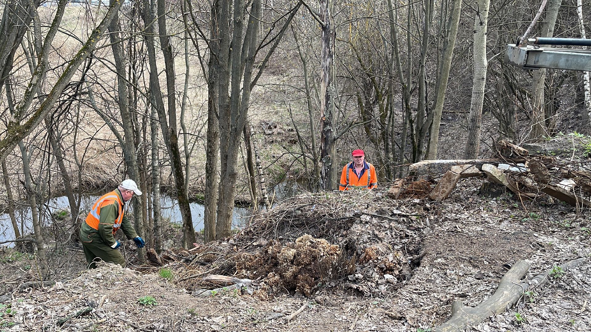 Ромашково, Одинцово, Добродел, река, Чаченка, очистка, экология, мусор,
