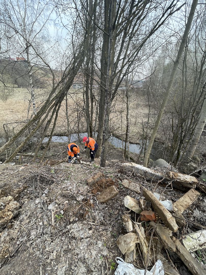 Ромашково, Одинцово, Добродел, река, Чаченка, очистка, экология, мусор,