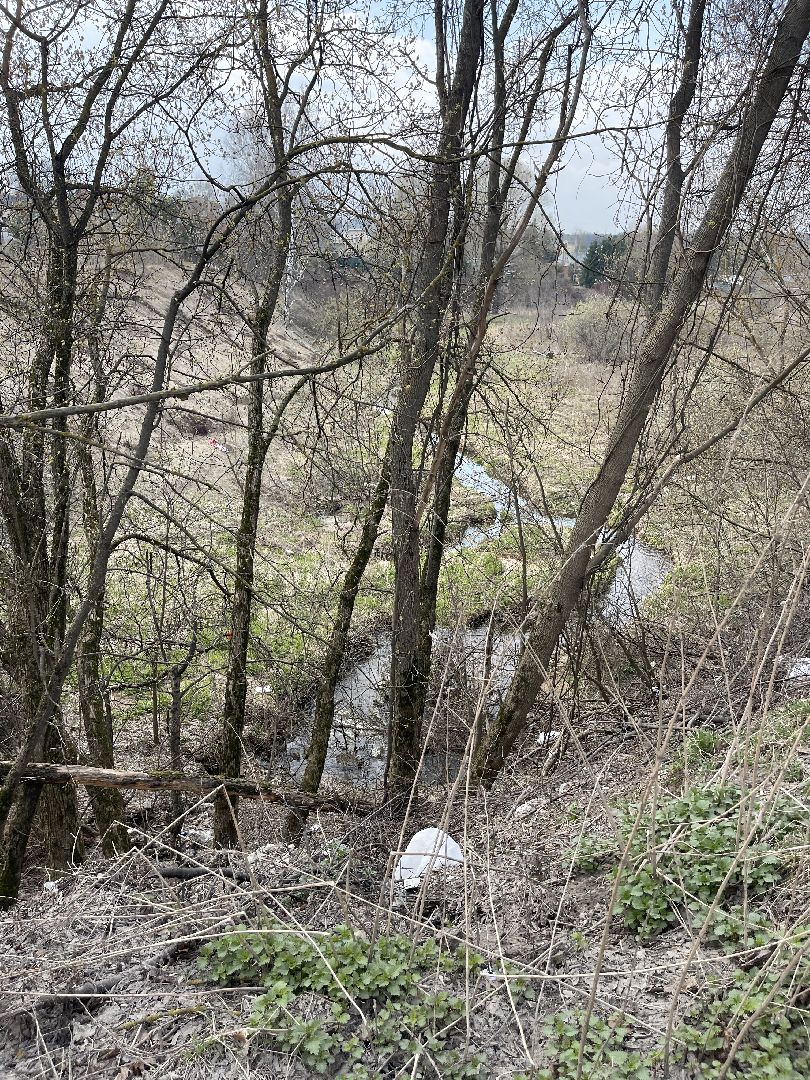 Ромашково, Одинцово, Добродел, река, Чаченка, очистка, экология, мусор,