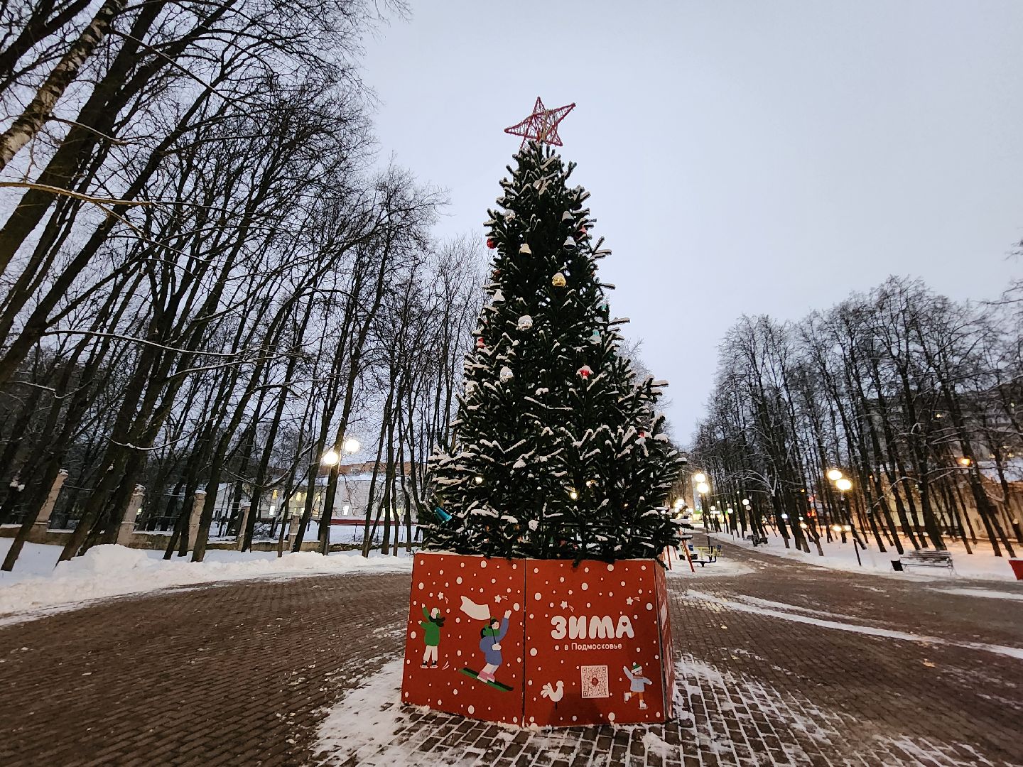 Чехов, сквер Ветеранов, новогодняя елка, подготовка к Новому году, проект губернатора московской области, Зима в Подмосковье, благоустройство, формирование комфортной городской среды, вертикалки,