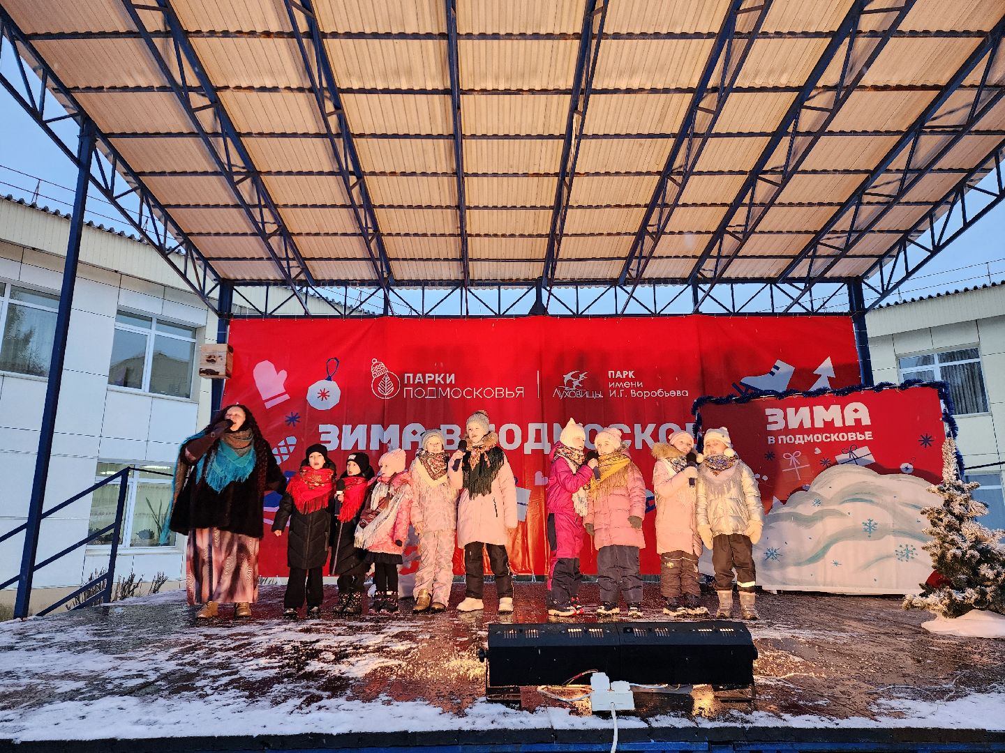 общество, луховицы, новый год, вертикалки,