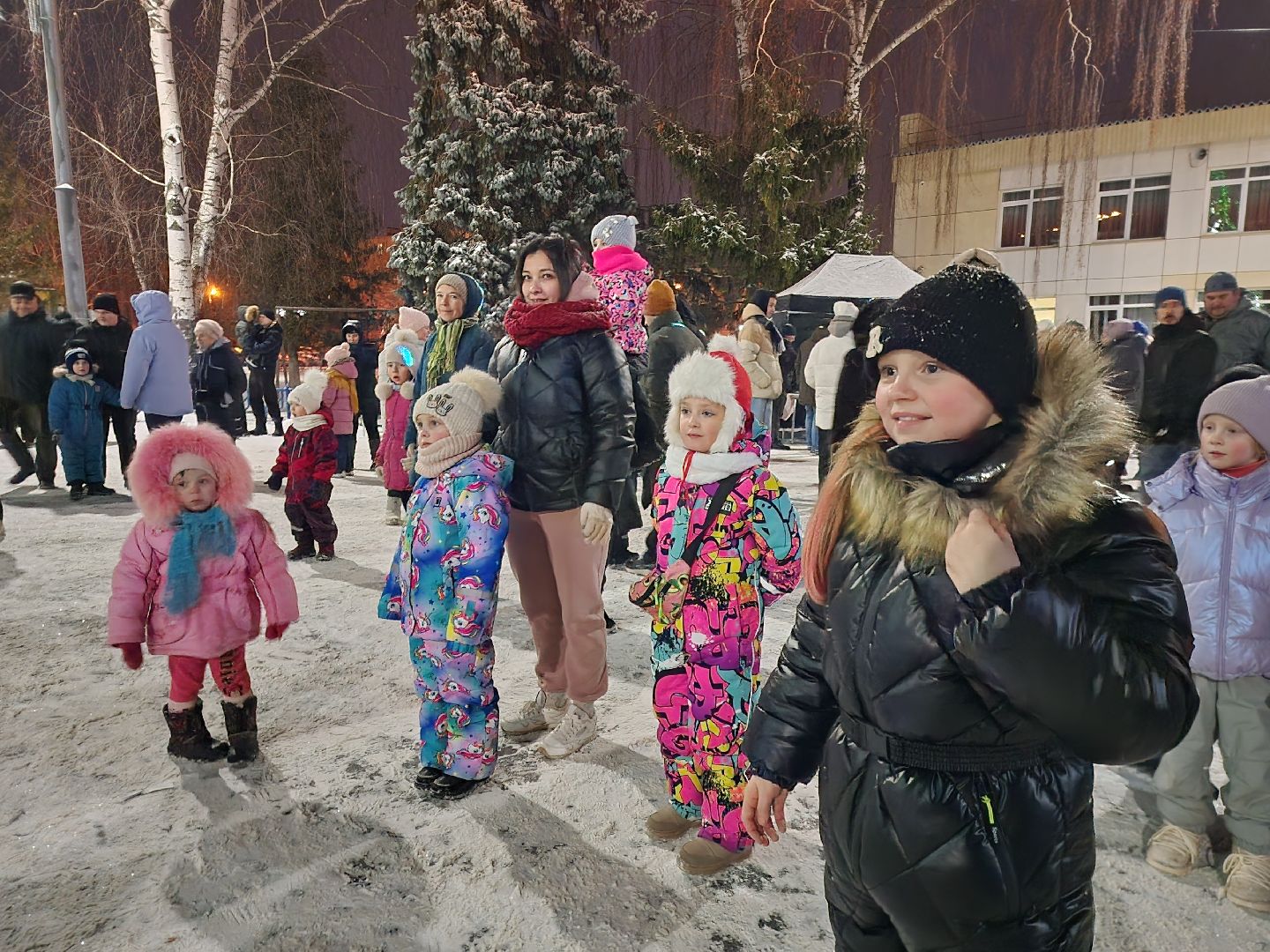 общество, луховицы, новый год, вертикалки,