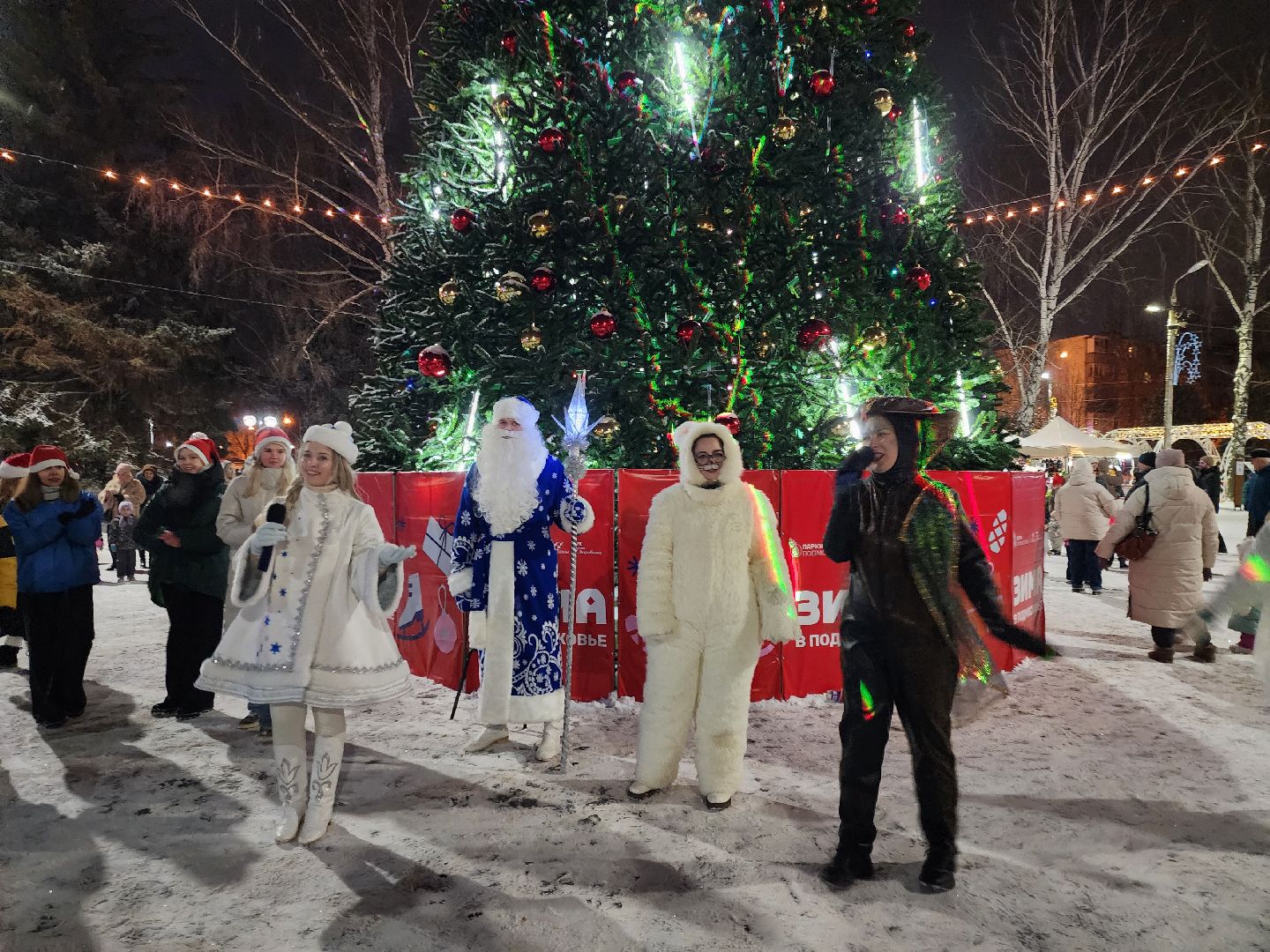 общество, луховицы, новый год, вертикалки,