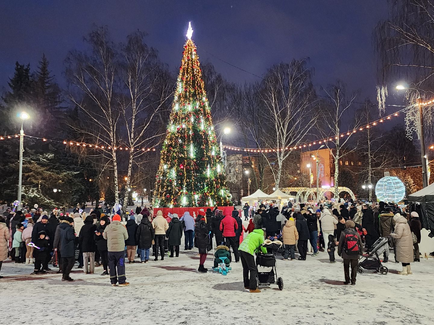 общество, луховицы, новый год, вертикалки,