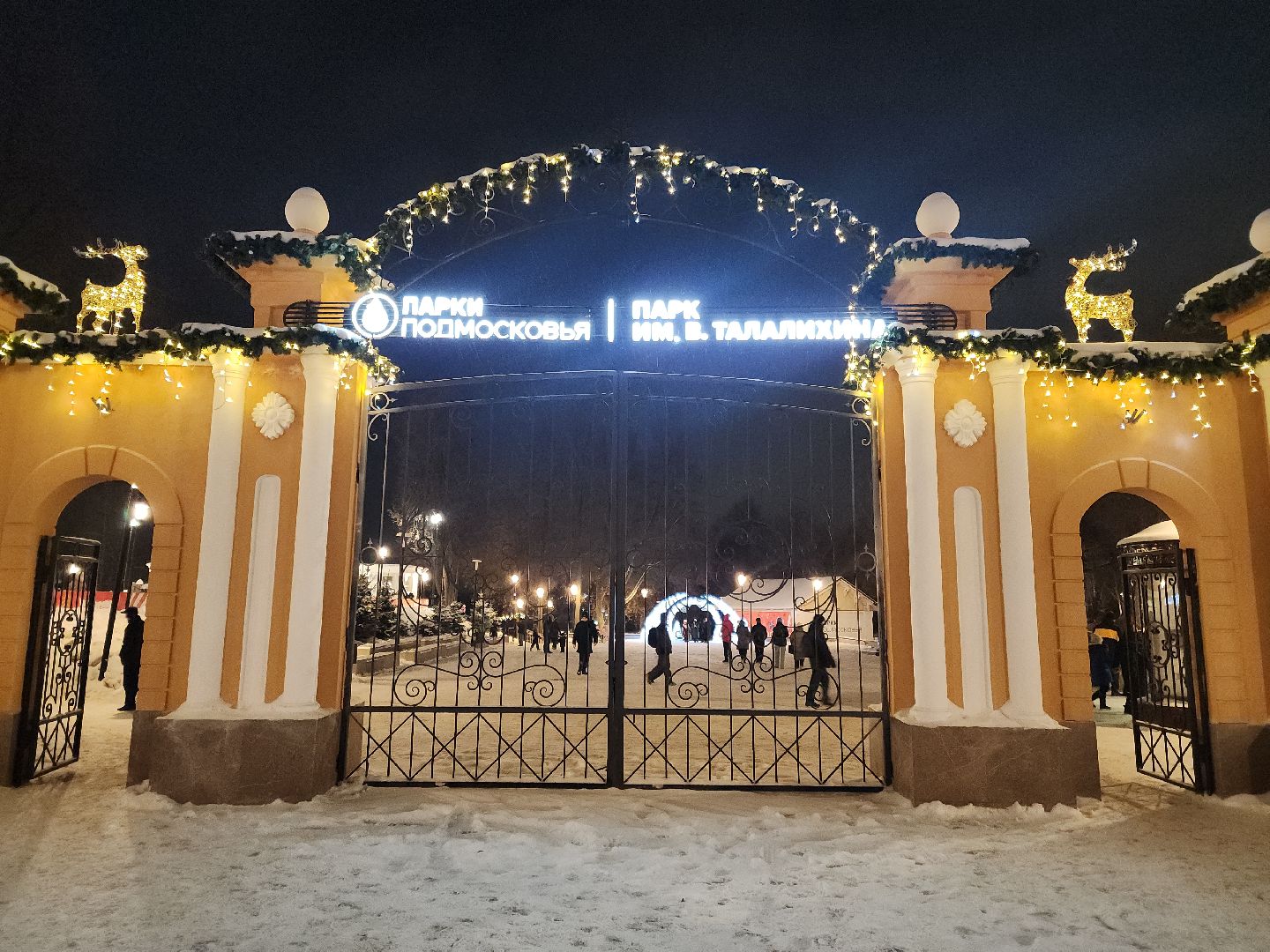 подольск, парк имени талалихина, новогоднее украшение, зима в подмосковье, вертикалка,