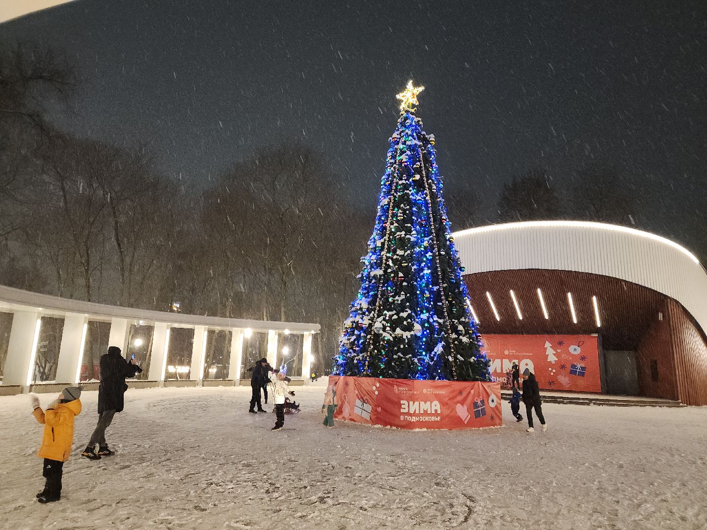 подольск, парк имени талалихина, новогоднее украшение, зима в подмосковье, вертикалка,