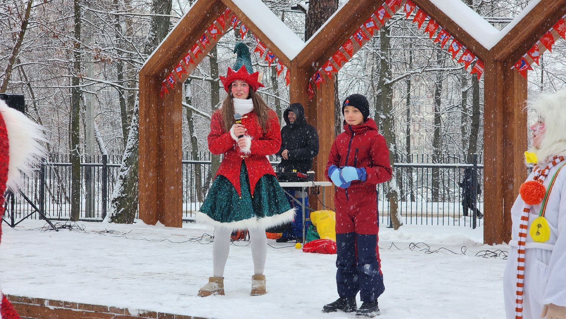 парки Подмосковья, Зима в Подмосковье, Лосино-Петровский,