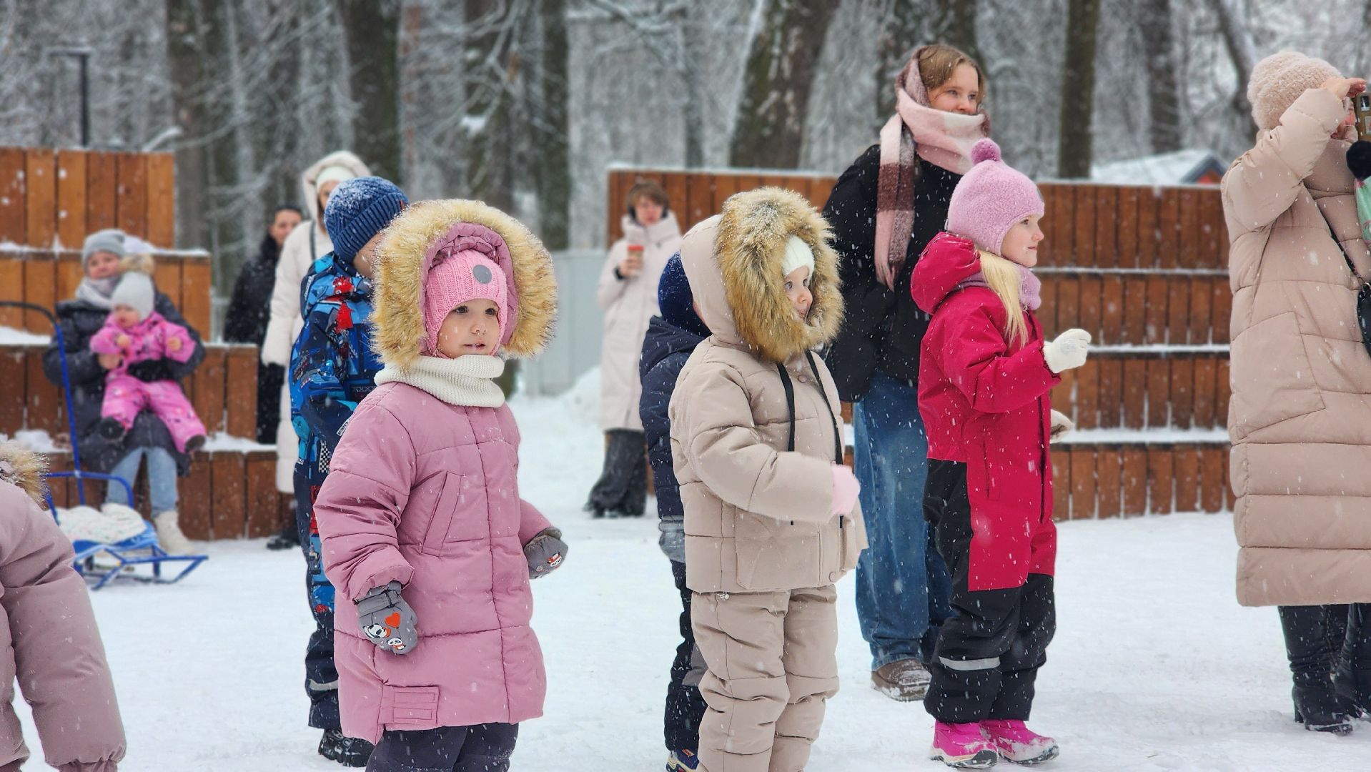 парки Подмосковья, Зима в Подмосковье, Лосино-Петровский,