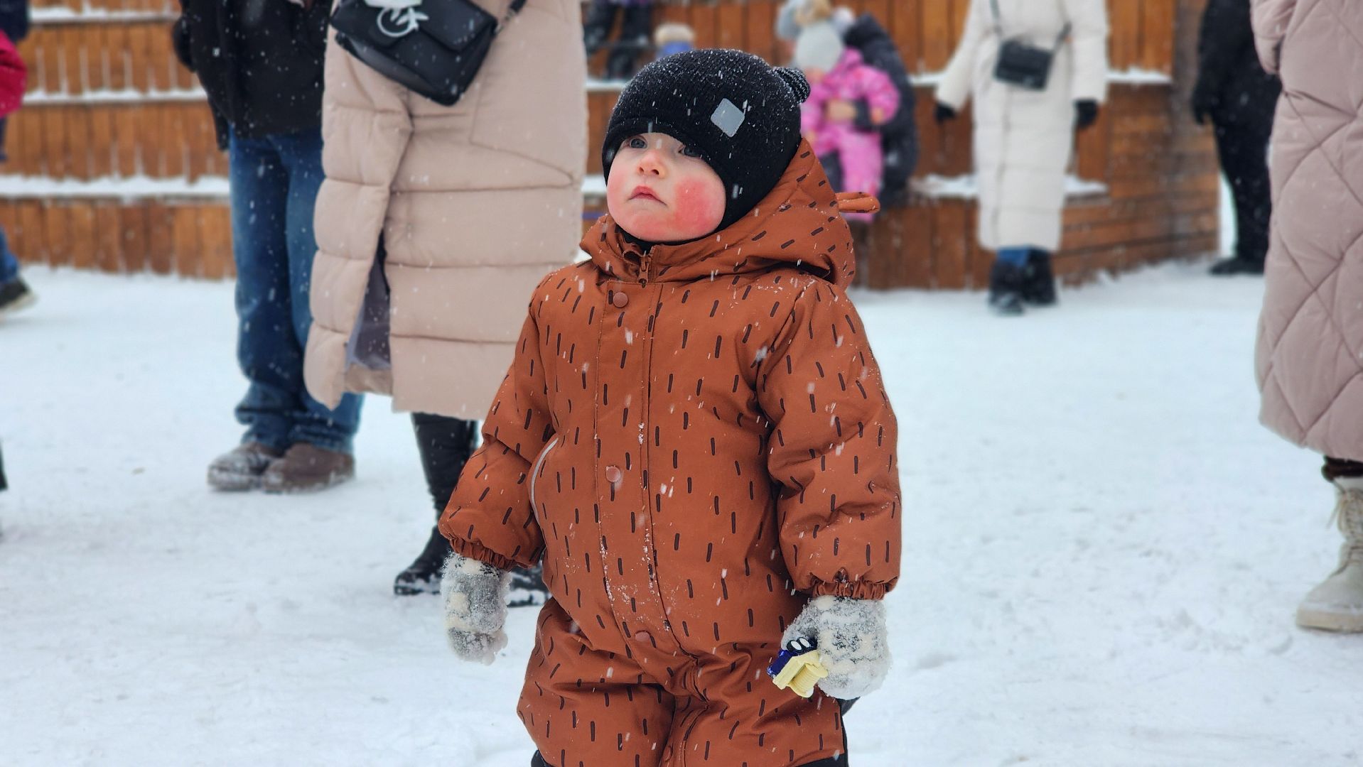парки Подмосковья, Зима в Подмосковье, Лосино-Петровский,