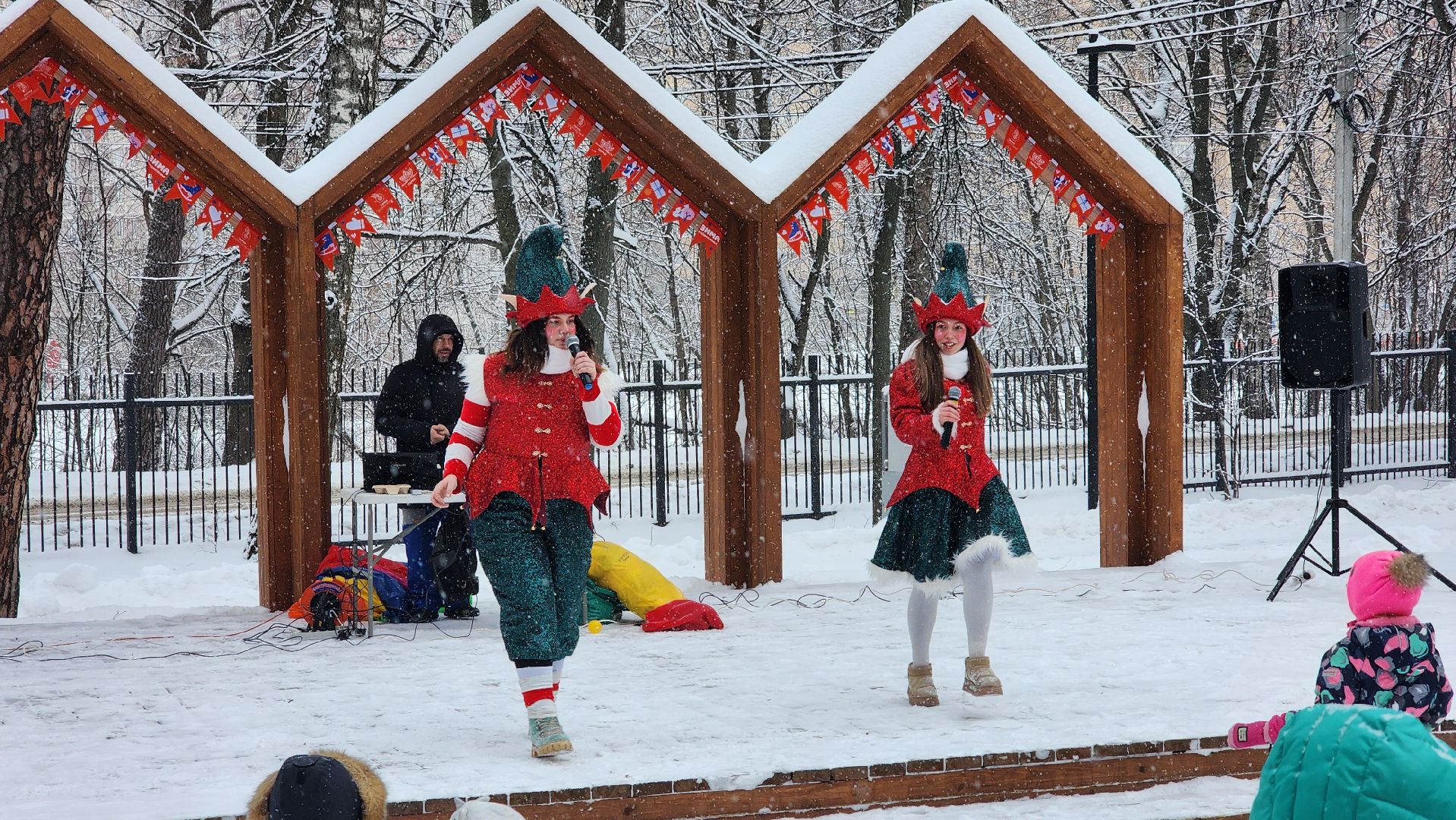 парки Подмосковья, Зима в Подмосковье, Лосино-Петровский,