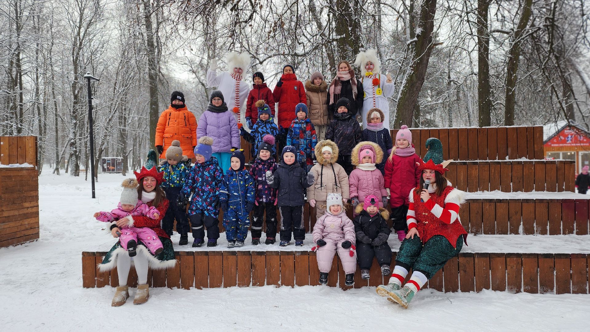 парки Подмосковья, Зима в Подмосковье, Лосино-Петровский,