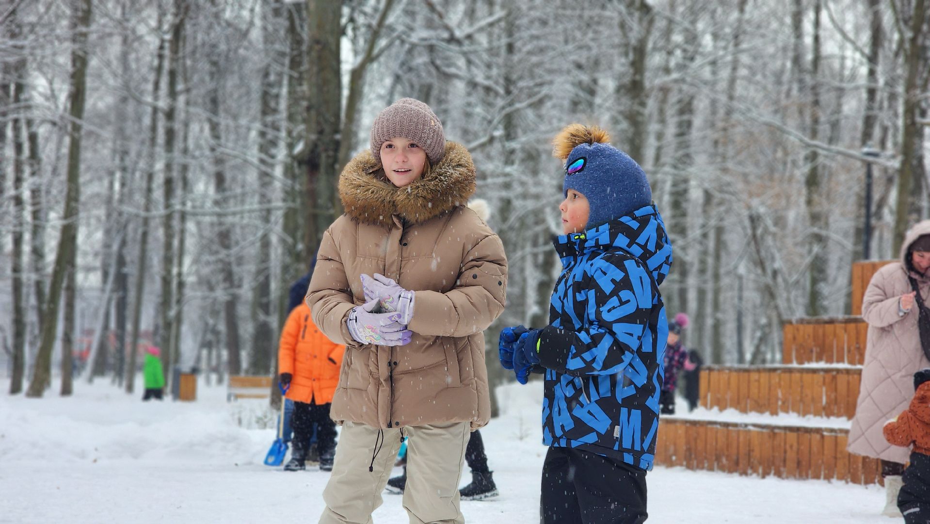 парки Подмосковья, Зима в Подмосковье, Лосино-Петровский,