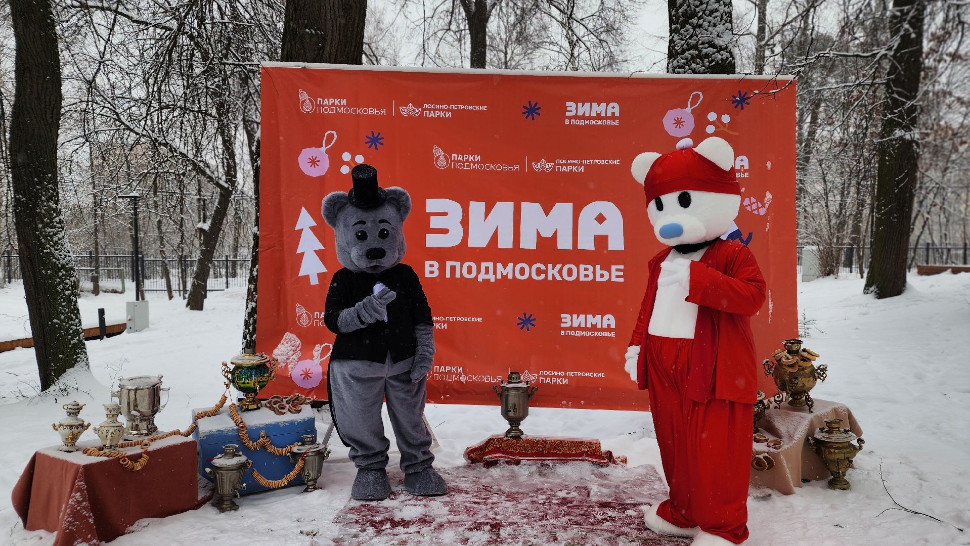 парки Подмосковья, Зима в Подмосковье, Лосино-Петровский,