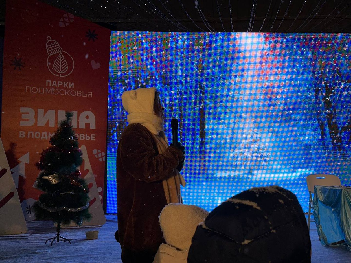 парки, парки домодедово,