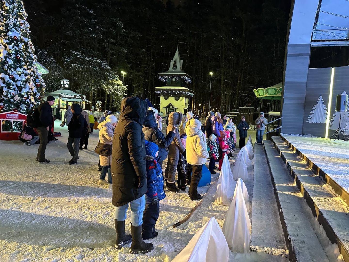 парки, парки домодедово,