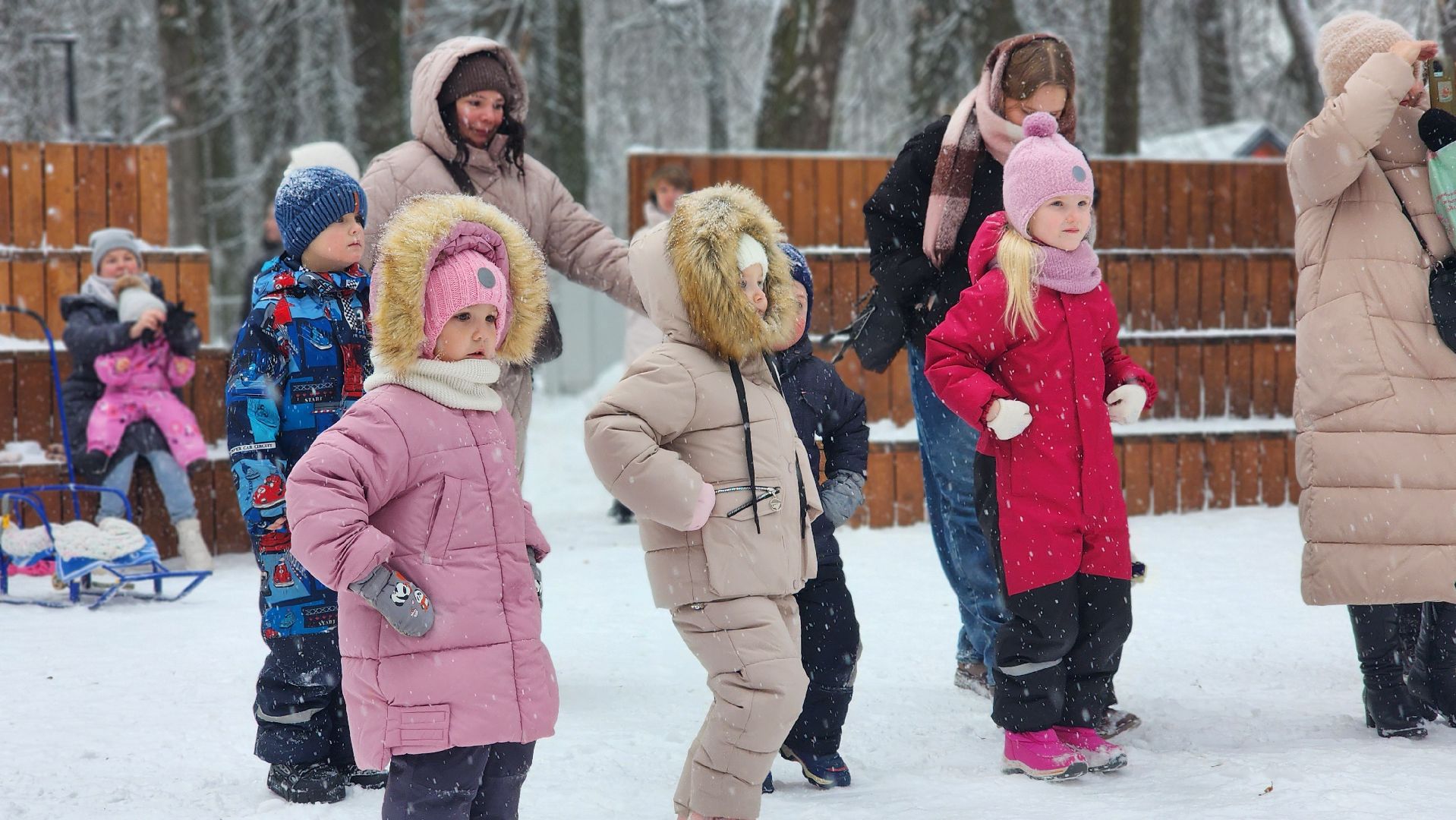 Парки Подмосковья, Зима в Подмосковье, Новый год, Лосино-Петровский,