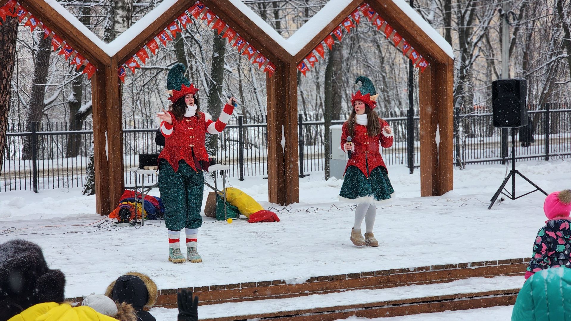Парки Подмосковья, Зима в Подмосковье, Новый год, Лосино-Петровский,
