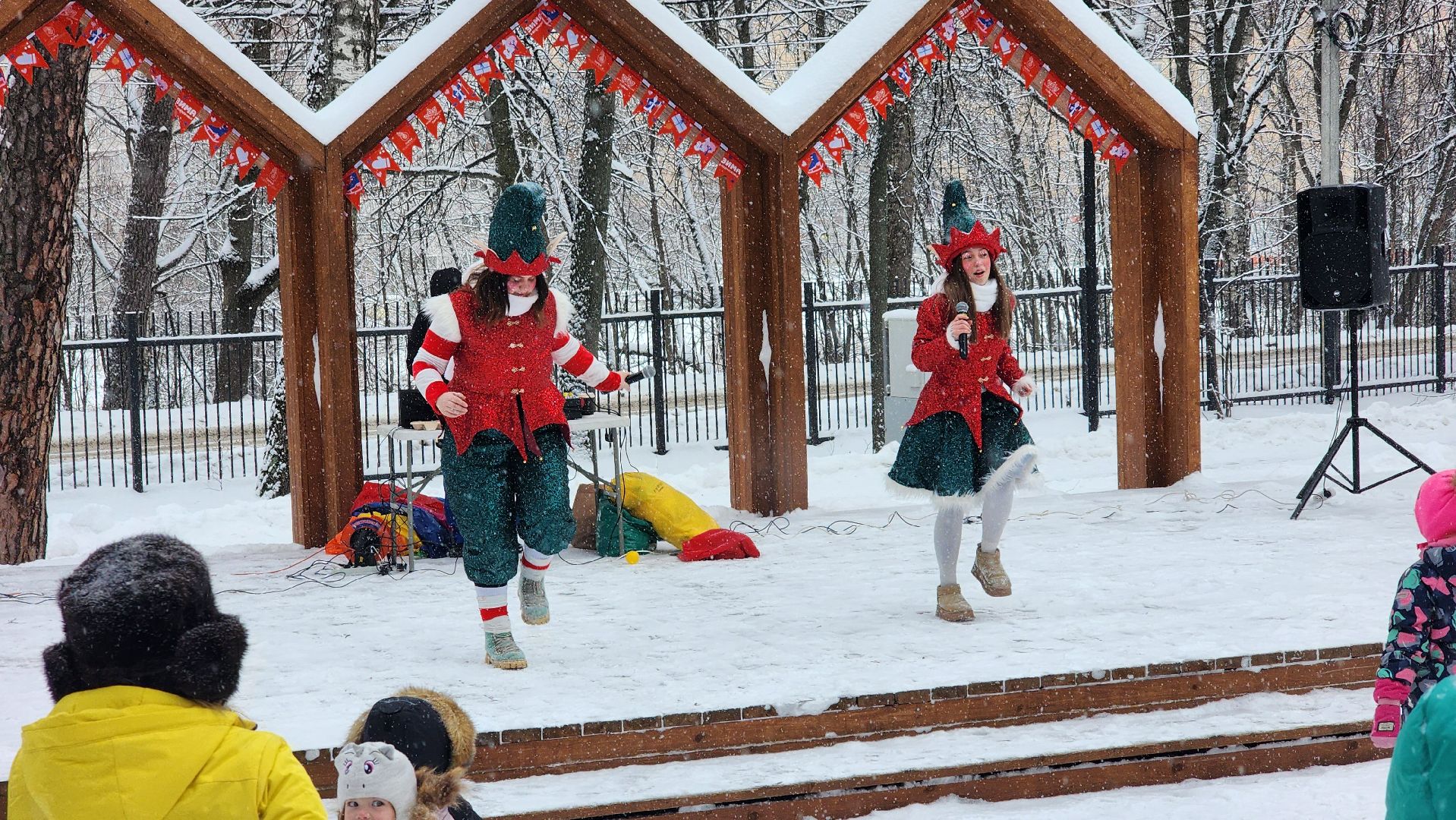 Парки Подмосковья, Зима в Подмосковье, Новый год, Лосино-Петровский,