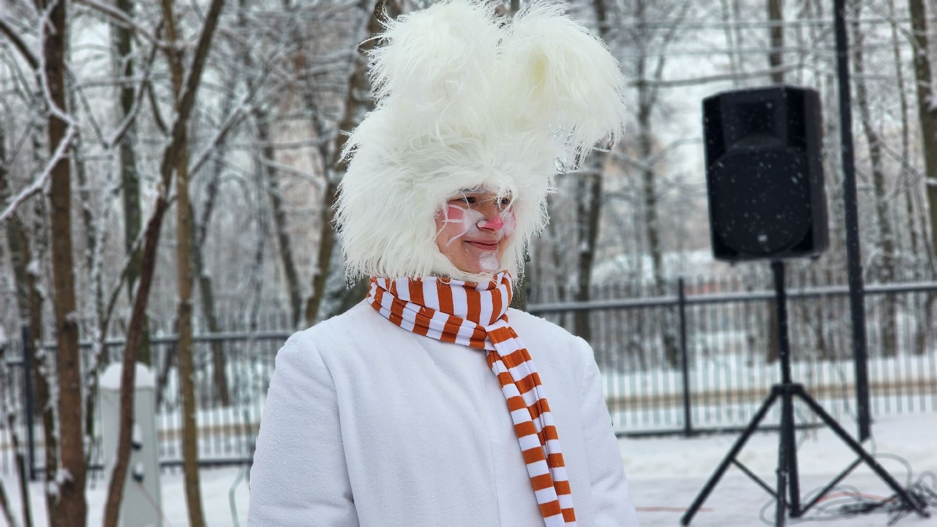Парки Подмосковья, Зима в Подмосковье, Новый год, Лосино-Петровский,