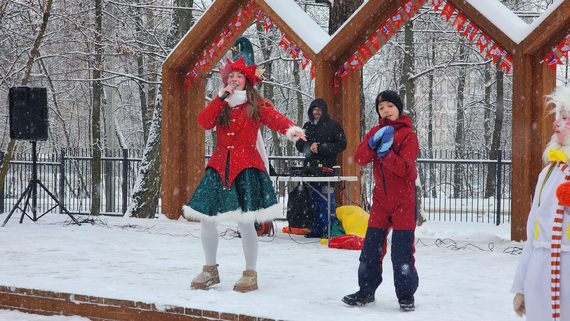 Парки Подмосковья, Зима в Подмосковье, Новый год, Лосино-Петровский,