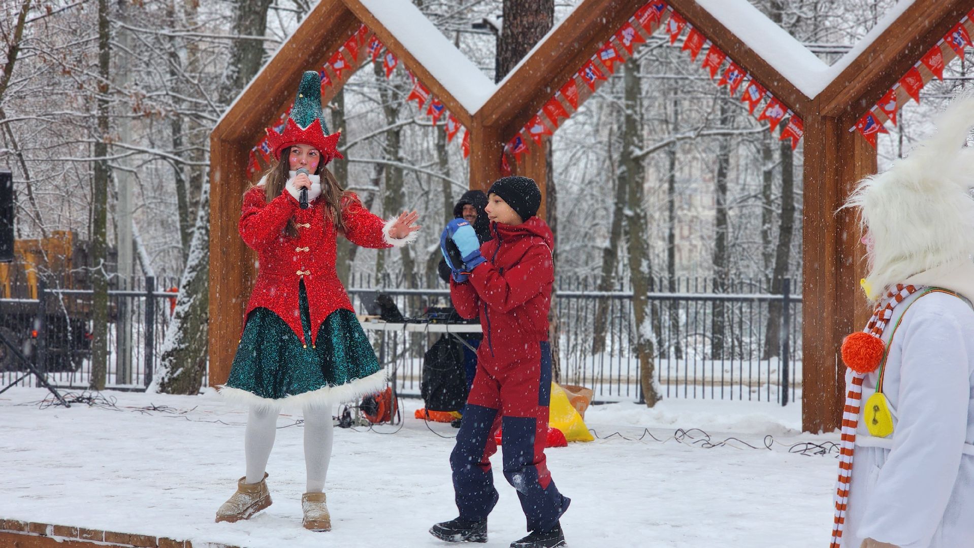 Парки Подмосковья, Зима в Подмосковье, Новый год, Лосино-Петровский,
