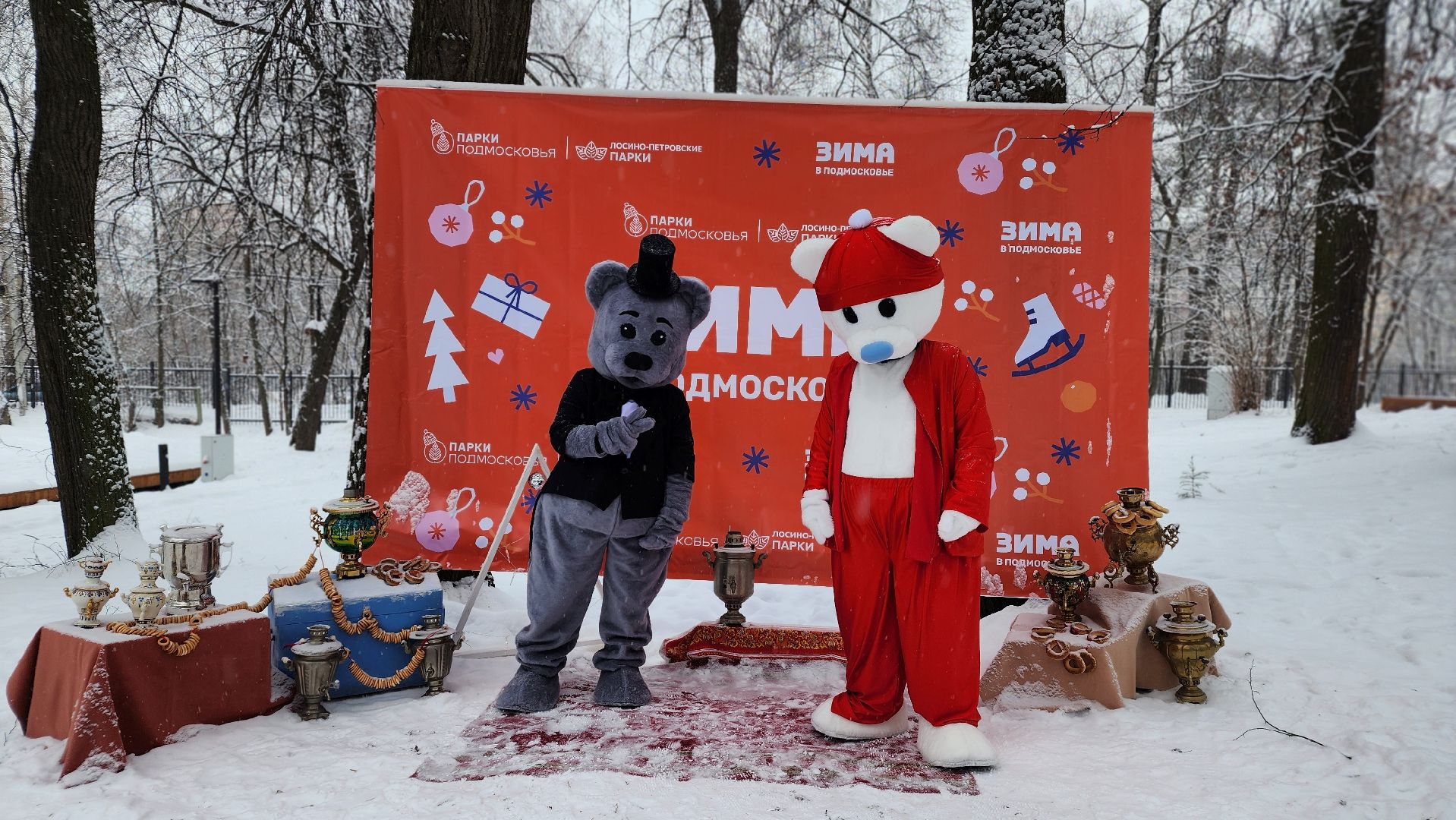 Парки Подмосковья, Зима в Подмосковье, Новый год, Лосино-Петровский,