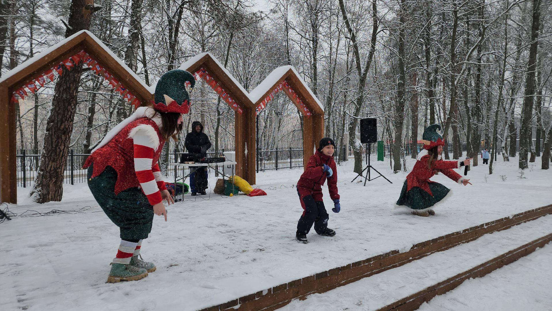 Парки Подмосковья, Зима в Подмосковье, Новый год, Лосино-Петровский,