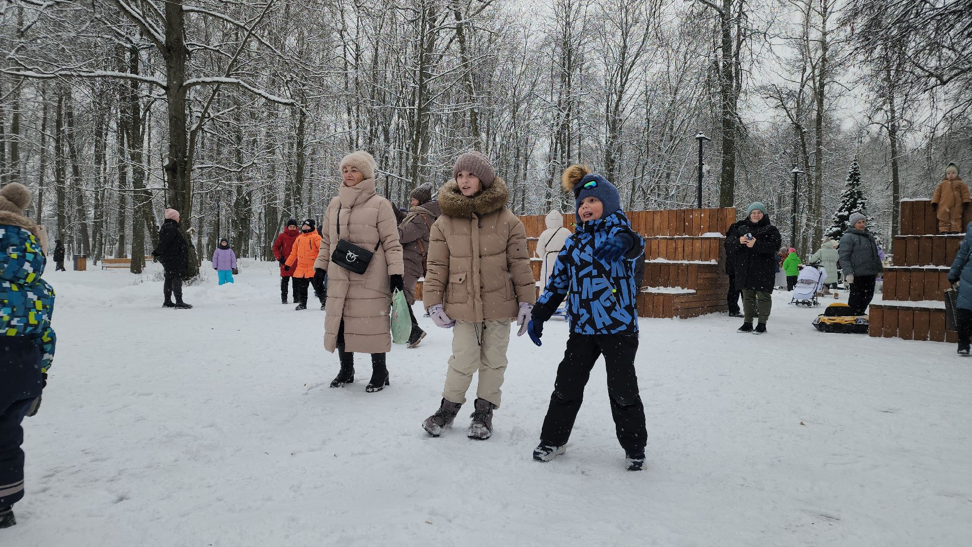 Парки Подмосковья, Зима в Подмосковье, Новый год, Лосино-Петровский,