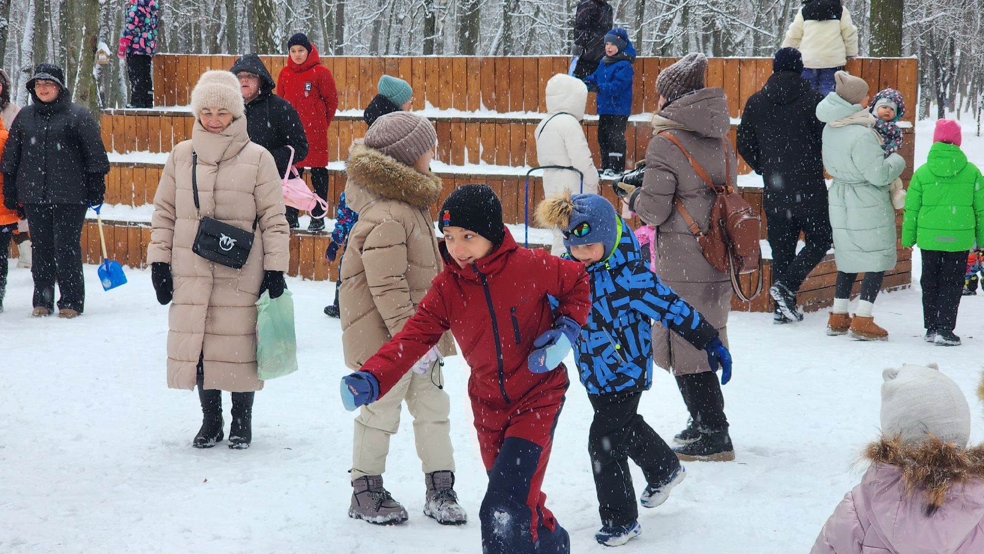 Парки Подмосковья, Зима в Подмосковье, Новый год, Лосино-Петровский,