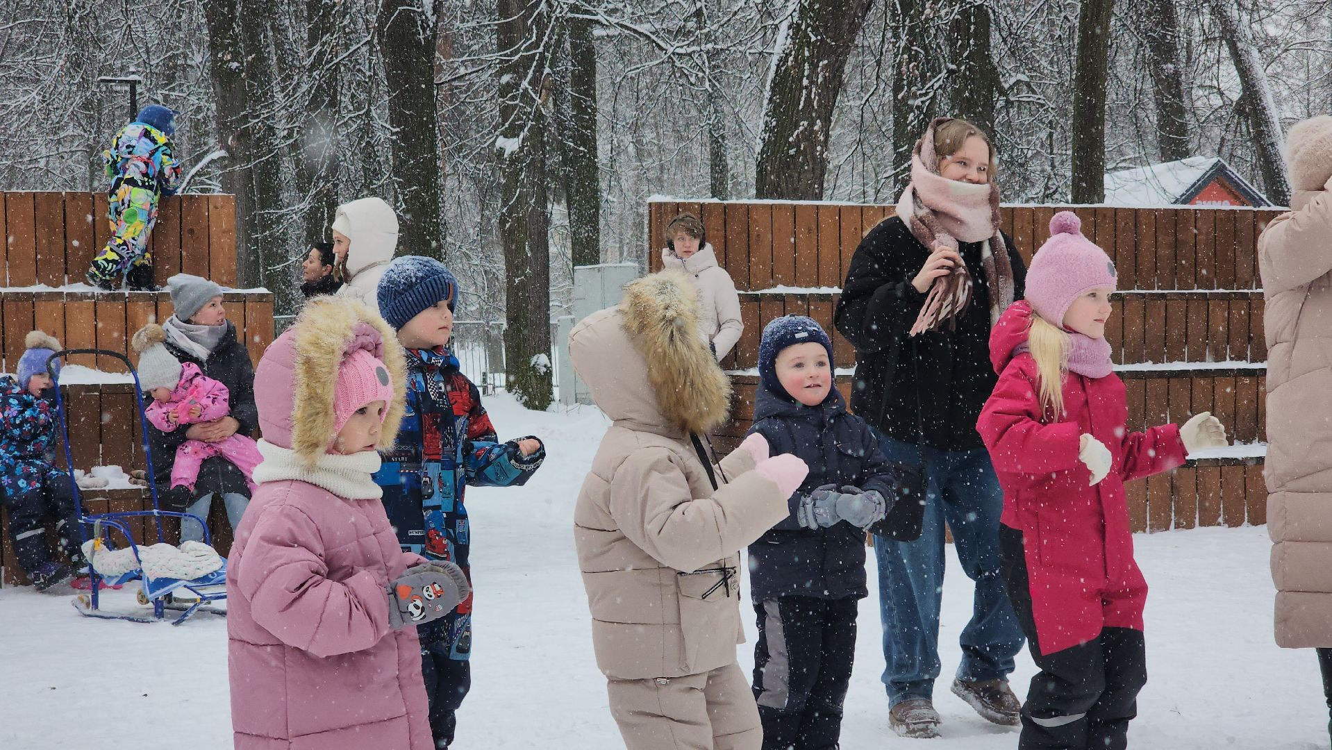 Парки Подмосковья, Зима в Подмосковье, почта Деда Мороза, Лосино-Петровский,