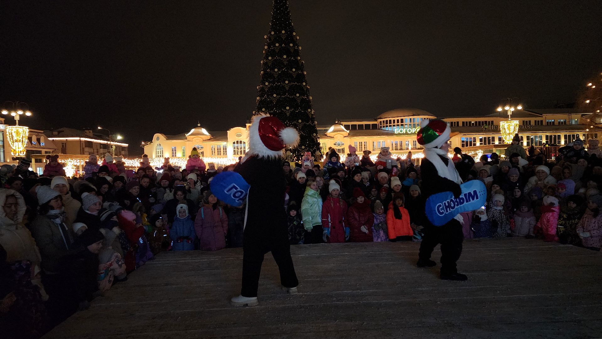 Новый год, интерактивное шоу, Фонтанная площадь, ногинск, Богородский городской округ, вертикалки