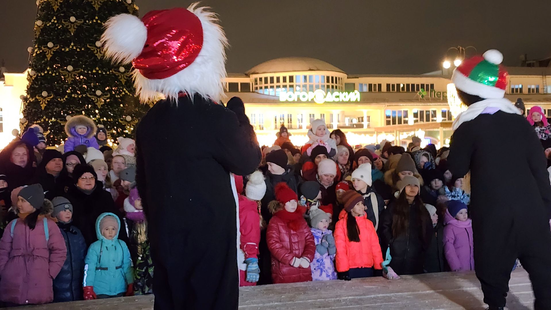 Новый год, интерактивное шоу, Фонтанная площадь, ногинск, Богородский городской округ, вертикалки
