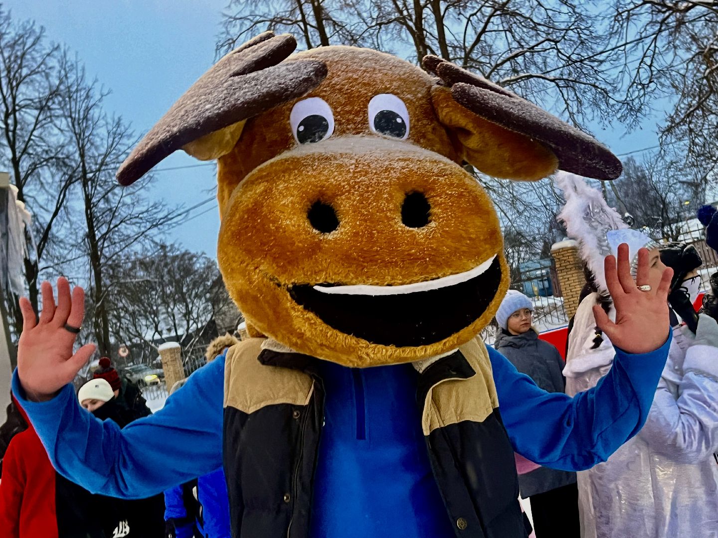 вертикальное видео, наро-фоминск, каток в наро-фоминске, парк наро-фоминска, зима в подмосковье,
