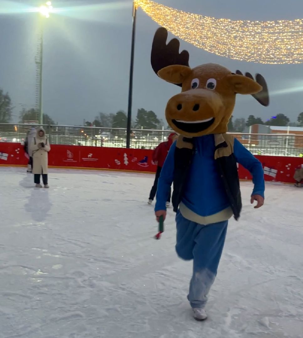 вертикальное видео, наро-фоминск, каток в наро-фоминске, парк наро-фоминска, зима в подмосковье,