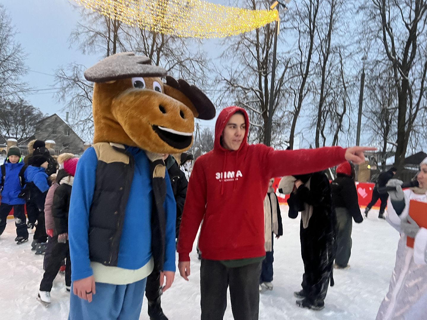 вертикальное видео, наро-фоминск, каток в наро-фоминске, парк наро-фоминска, зима в подмосковье,