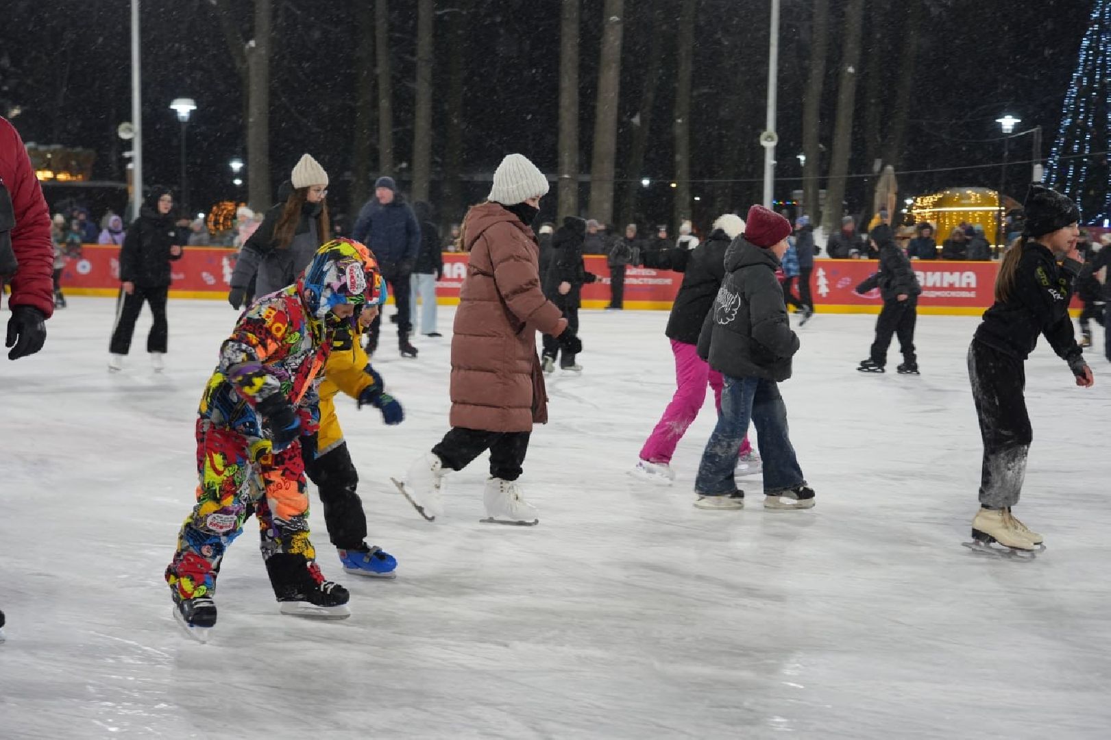 Зима в Подмосковье, Зима в парках, Парки МО, Сергиев Посад, Каток, Губернатор МО, Каток с искусственным льдом, Сергиево-Посадский городской округ, Скитские пруды, вертикалки,