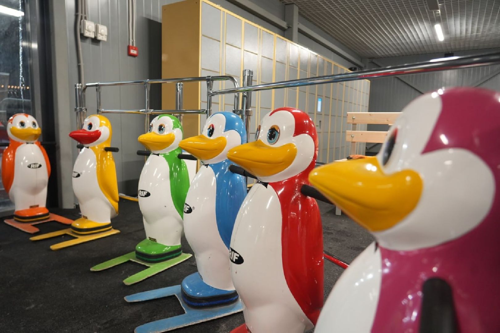 Зима в Подмосковье, Зима в парках, Парки МО, Сергиев Посад, Каток, Губернатор МО, Каток с искусственным льдом, Сергиево-Посадский городской округ, Скитские пруды, вертикалки,