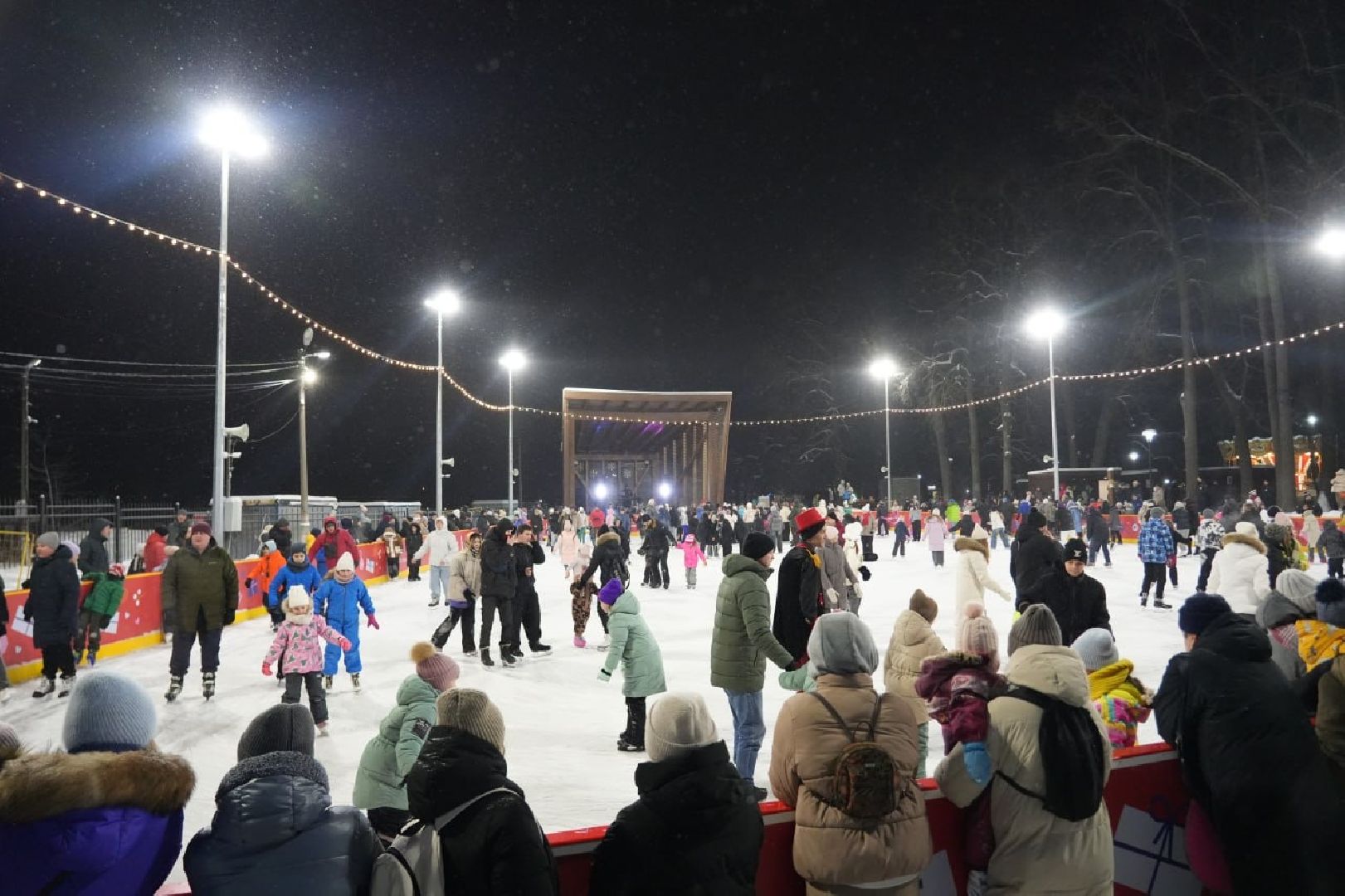 Зима в Подмосковье, Зима в парках, Парки МО, Сергиев Посад, Каток, Губернатор МО, Каток с искусственным льдом, Сергиево-Посадский городской округ, Скитские пруды, вертикалки,